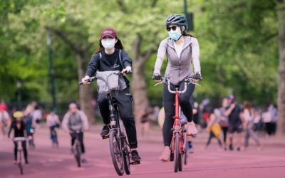 The 10 Best Beginners Road Bike For Women In The Market